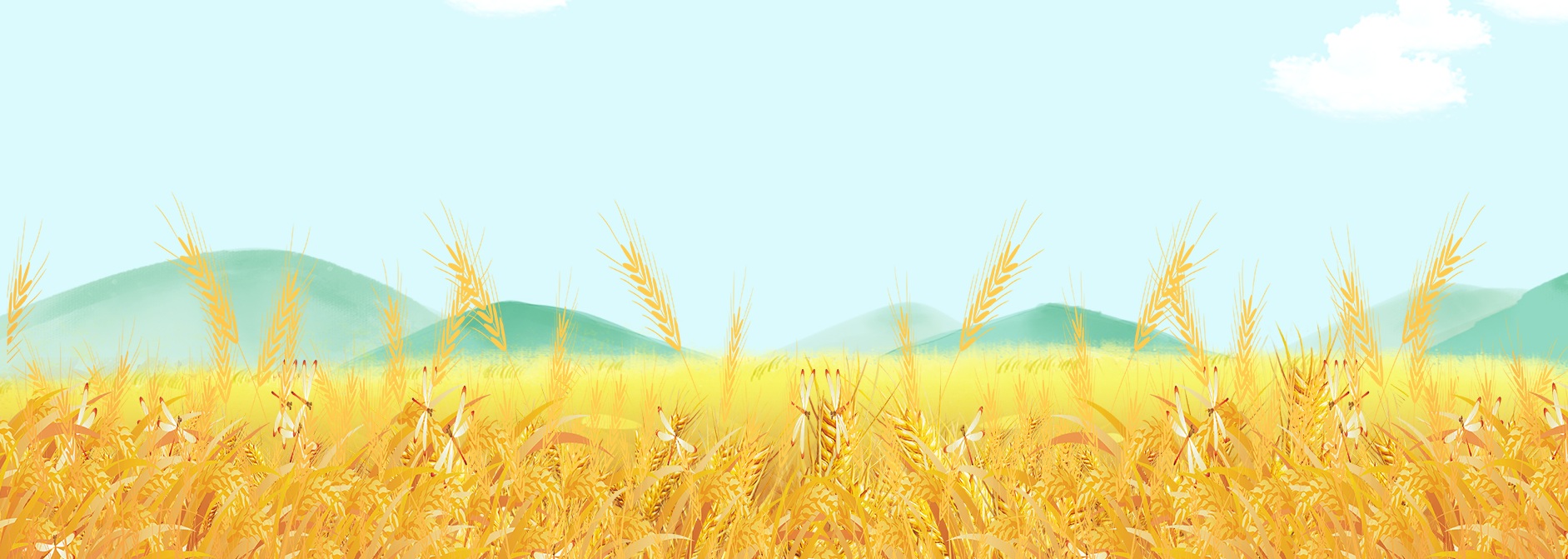 Pngtreesimple wheat field background banner_11261881